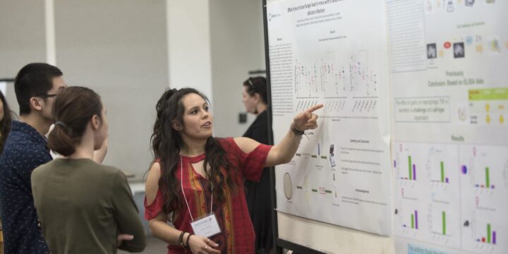 Научная и проектная деятельность